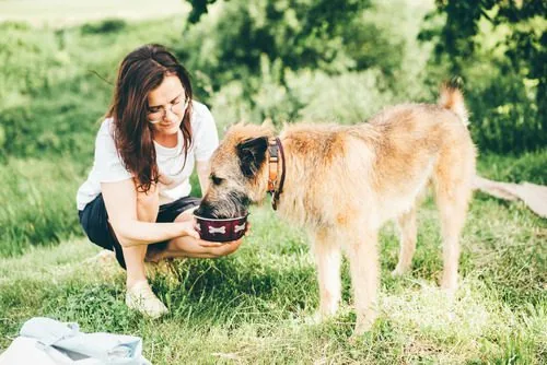 female-owner-holding-water-bowl-as-dog-drinks